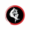 Live Stream für EM